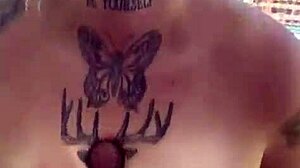 Park Swallows Cum Always