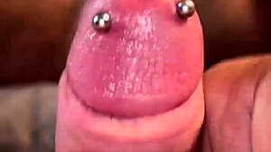 Solo pierced cock