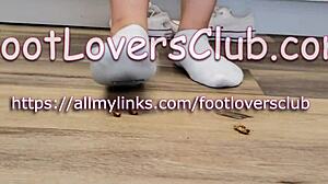 giantess maria crushes snails