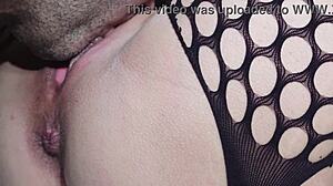 Gentle Licks Release