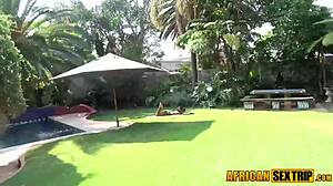 Ebony Milf Sucks Cock