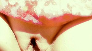 Pleasure Bags Display