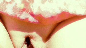 Pleasure Bags Display