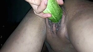 girlfriend blowjob cum session