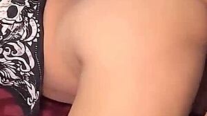 Tampico brunette fucked