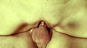 Silly Girl Fucked Hard