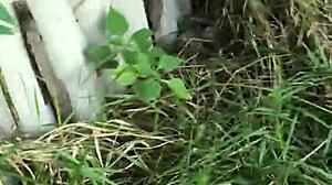 Wild Outdoor Encounter