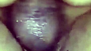 Novinha Cavalgando Anal