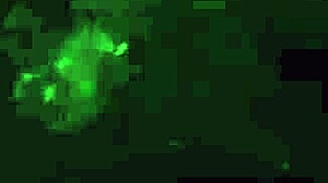 Cute jungle encounter