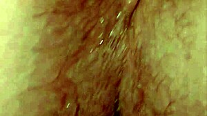 Dominican BBW Blowjob