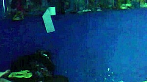 Escap� Para Follar Vecino