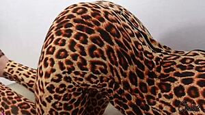 Play With Kitty's Pussy