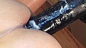 Sissy Shemale Compilation