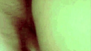 Dominican BBW Blowjob