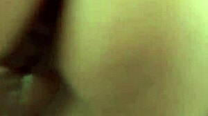 Creampie Compilation Feature