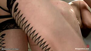 Bound Lesbian Threesome