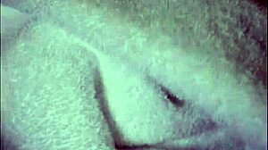 Creampie Compilation Feature