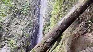 Monika Fox jungle walk