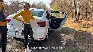 Mountain Getaway Adventures