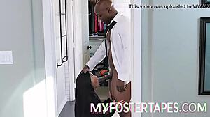 Ember Snow Introduction