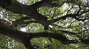 teen punishment deserved