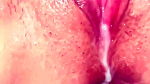 Amateur Creampie Pussy