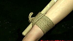 Tormented Babe Punished