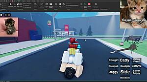 V4 Showcase Activities