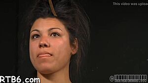 Excellent Sadomasochism Videos