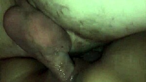 Bareback Creampie