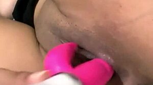 Profesor Fingering Scandal