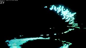 Legs Spread Creampie