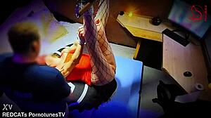 wife creampie breeding