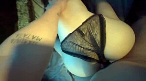 international amateur romp