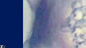  Cock Sloppy Compilation