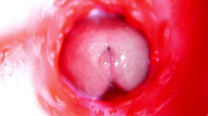 Internal Pussy Camera