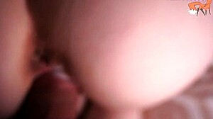 后入紧致处女逼