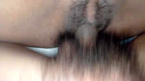 หีขย่มควย