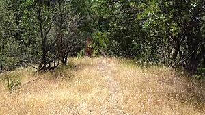 Nudists Outdoor Fuck