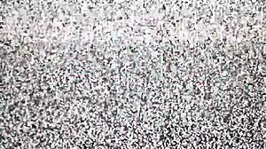 Ditria Rose Nipples Pierced