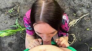 Cornfield Cock Comfort