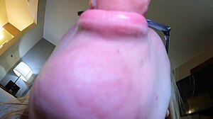 Pregnant Cum Swallow