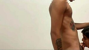 stepsis blowjob crave