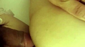 Big Cock Tiger Pussy