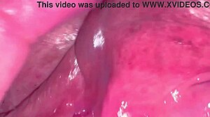 Pink Pussy Closeup